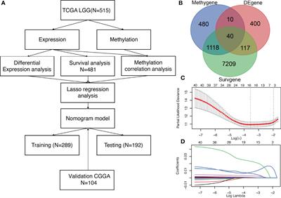 DNA Methylation-Driven Genes for Developing Survival Nomogram for Low-Grade Glioma